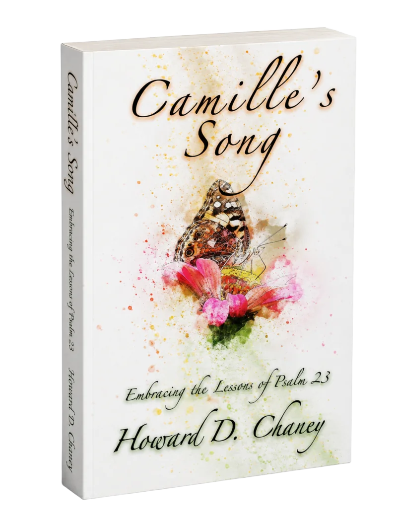 CAMILLE'S SONG book cover